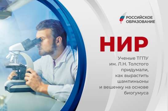 Ученые Университета Льва Толстого придумали, как вырастить шампиньоны и вешенку на основе биогумуса